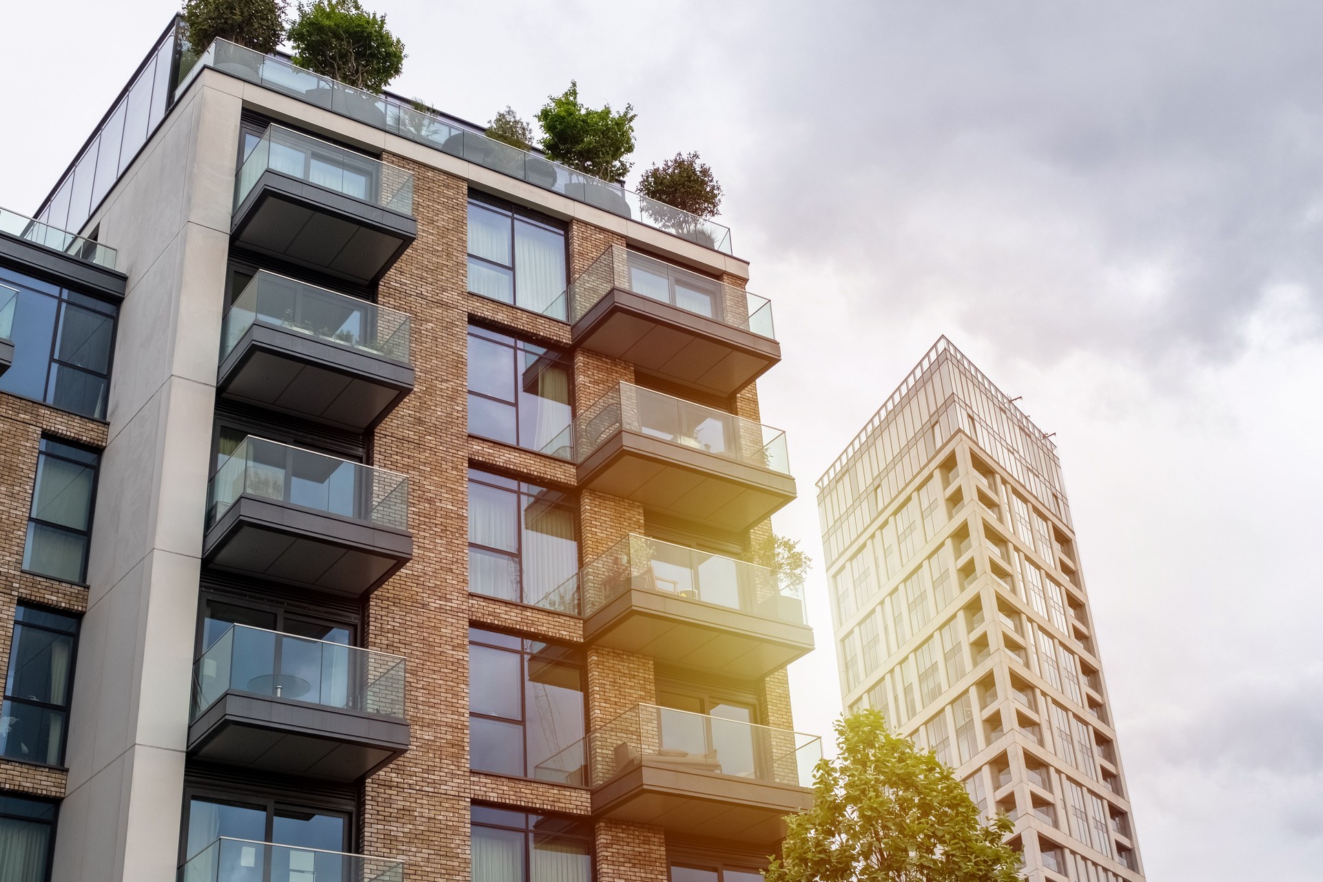 Apartamentos urbanos contemporáneos con vegetación en la azotea